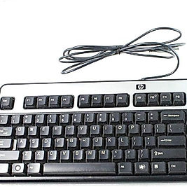 HP KLAVYE SK-2885 Wired USB Computer Keyboard Silver and Black 434821-002 (İKİNCİ EL)
