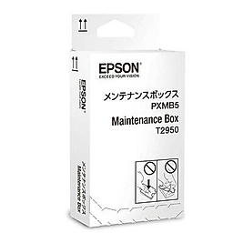 Epson C13T295000 Orjinal Atık Kutusu (Maintenance Box) PXMB5