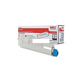OKI 44059120 Siyah Orjinal Toner - C810 / C830