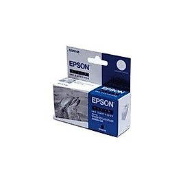 Epson C13S02010840 (S020108) Siyah Orjinal Kartuş